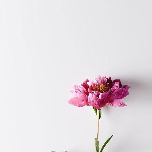 欢醒的小笨