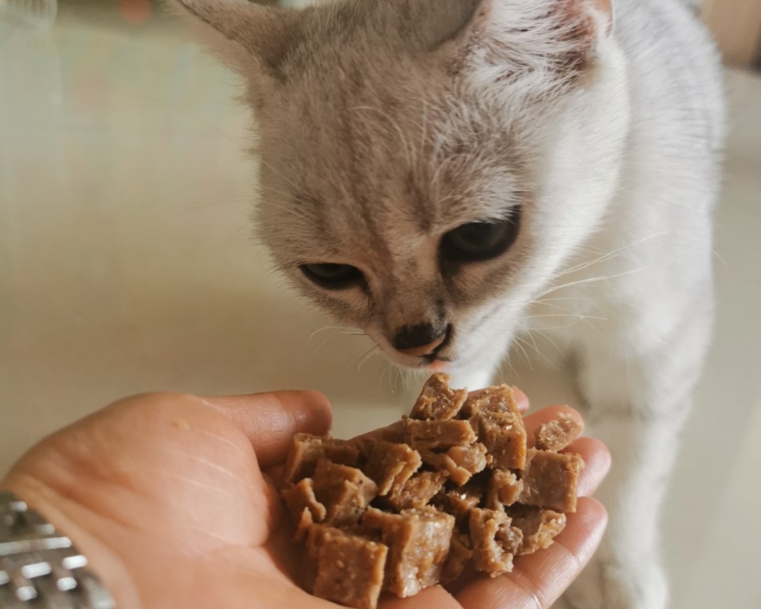 自制猫粮的做法 步骤9