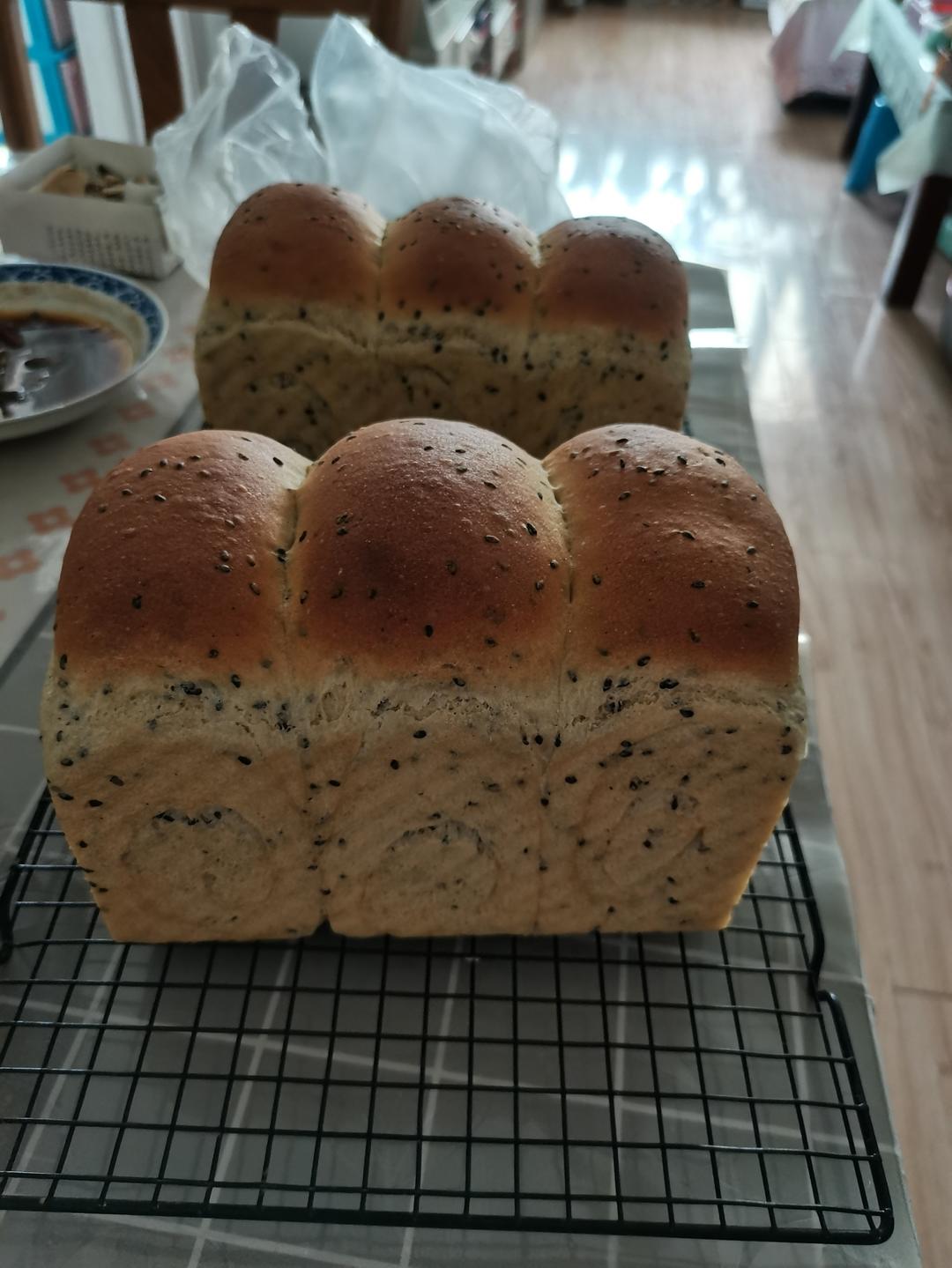 双种芝麻全麦吐司 100%全麦 烫种+波兰种