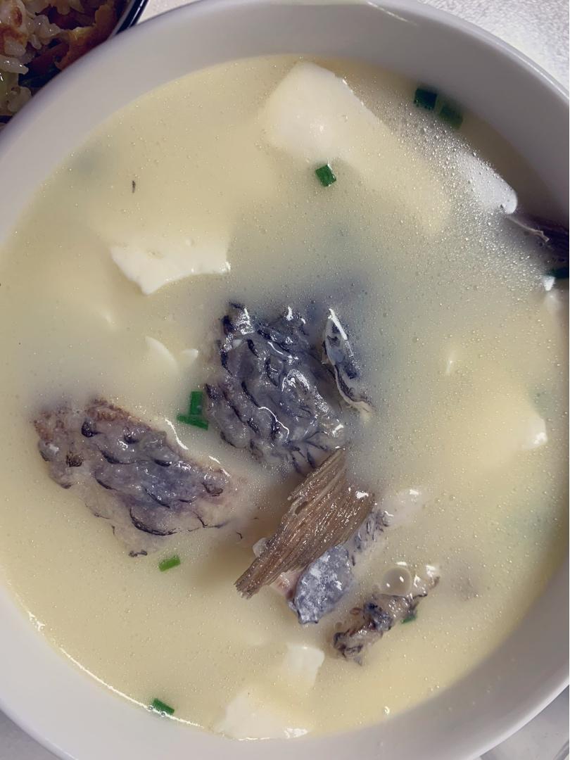 奶白鲫鱼豆腐汤|一条鱼最后的温柔