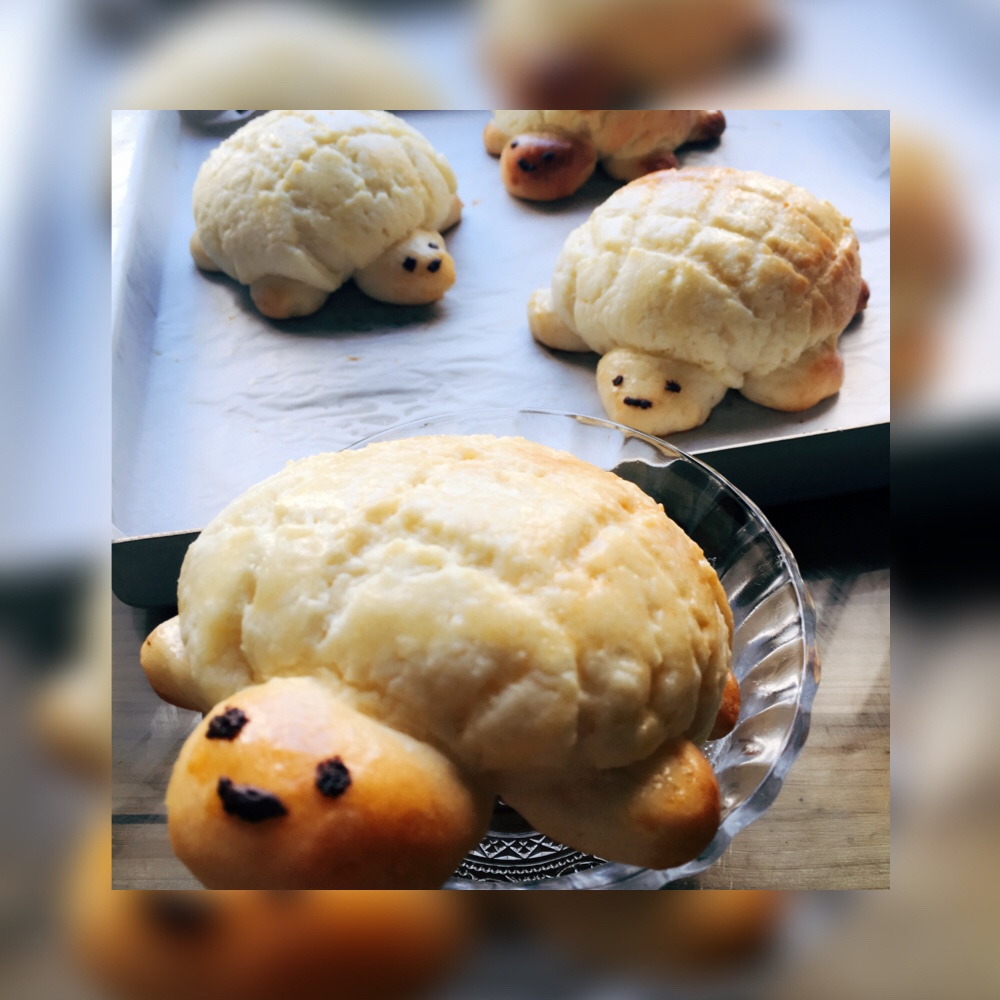 小乌龟菠萝包
