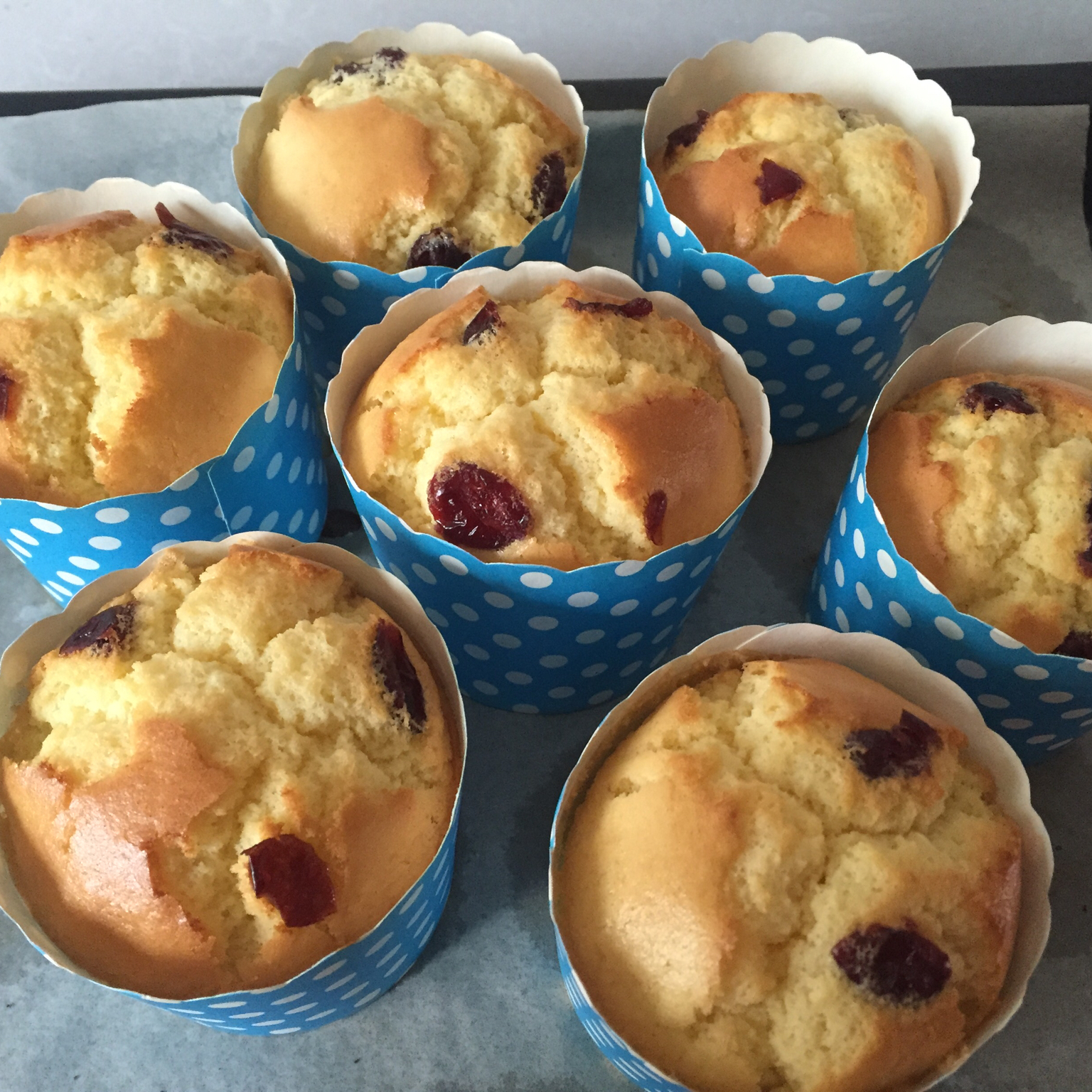 不会回缩的纸杯蛋糕