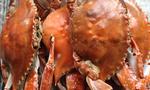 清蒸梭子蟹（螃蟹）-最简单的原汁原味吃法