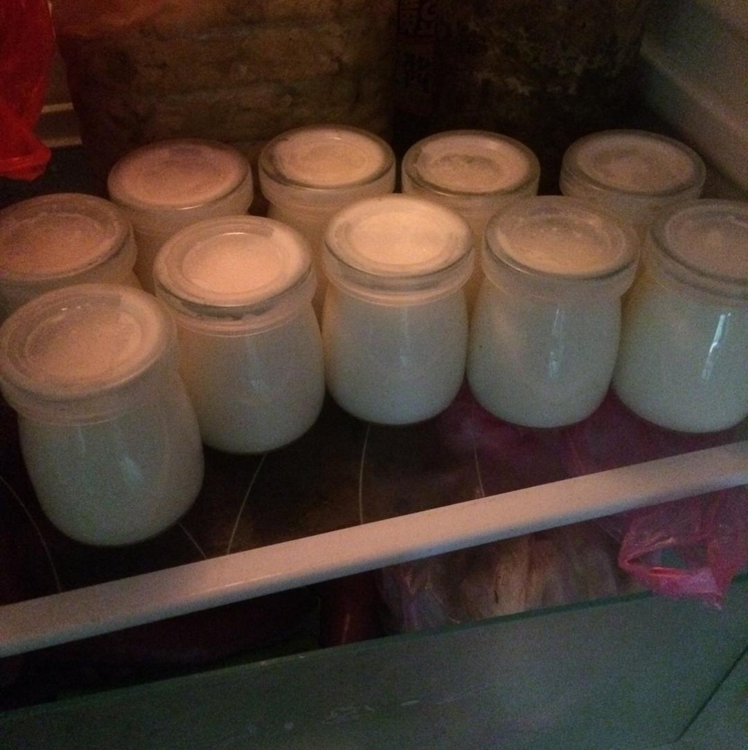 电饭锅版自制酸奶