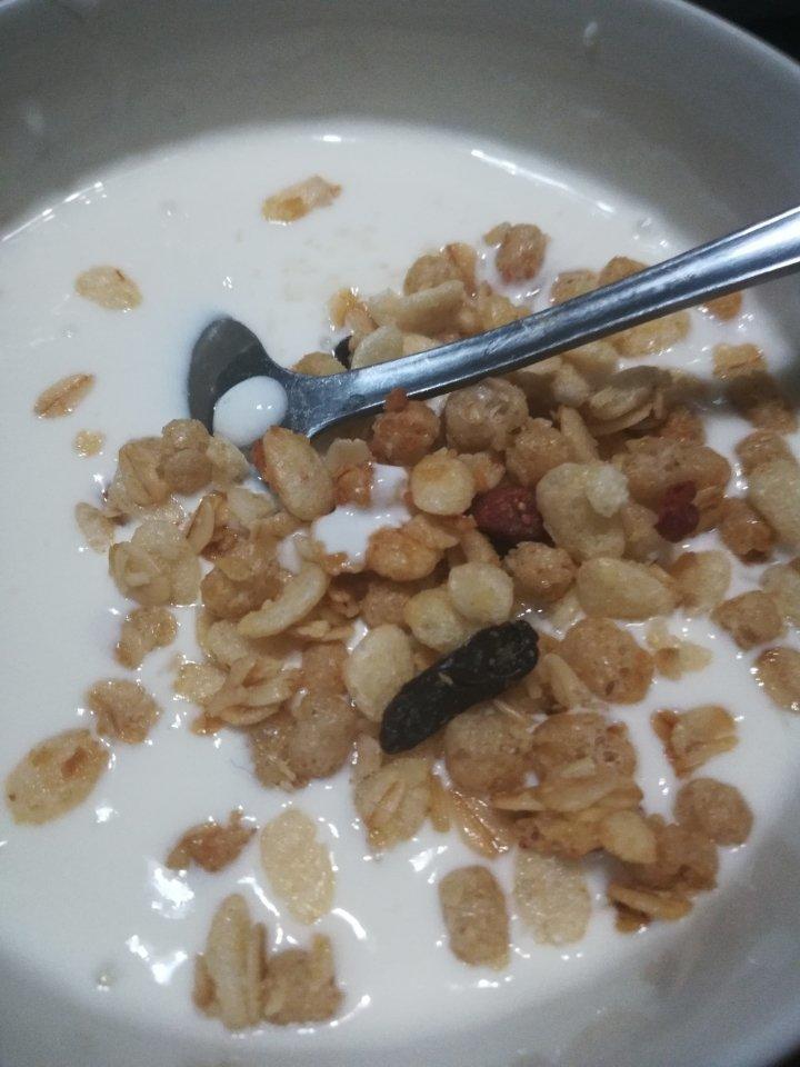 懒人酸奶