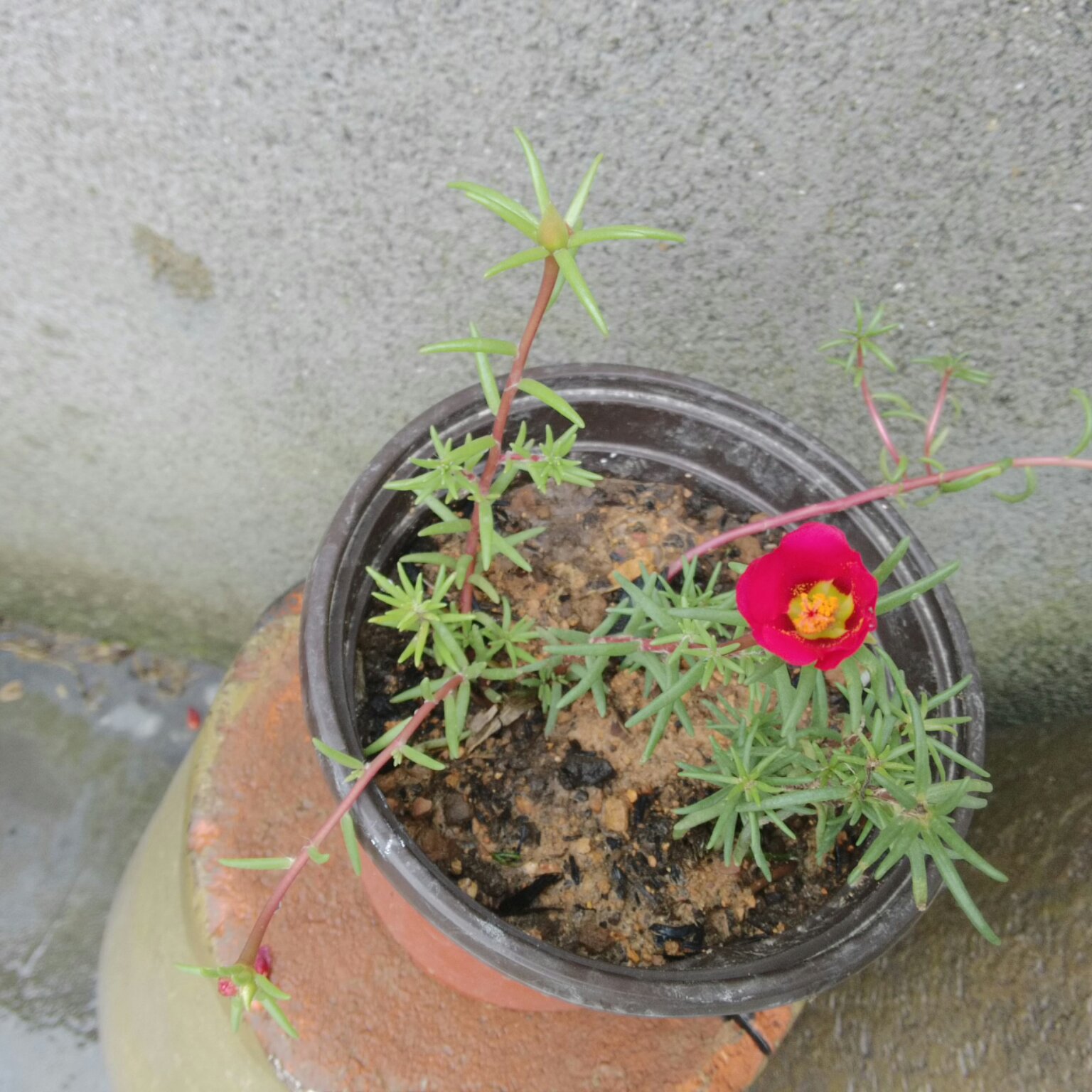 午餐•2016年7月13日