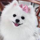 lucy5272