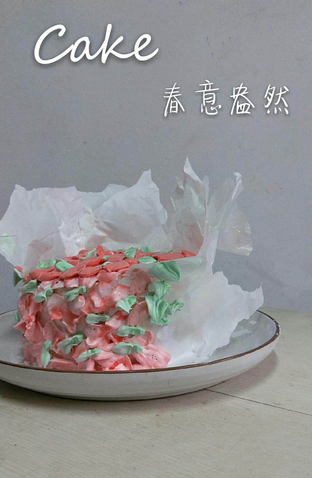 韩式裱花——常用花嘴和基础工具