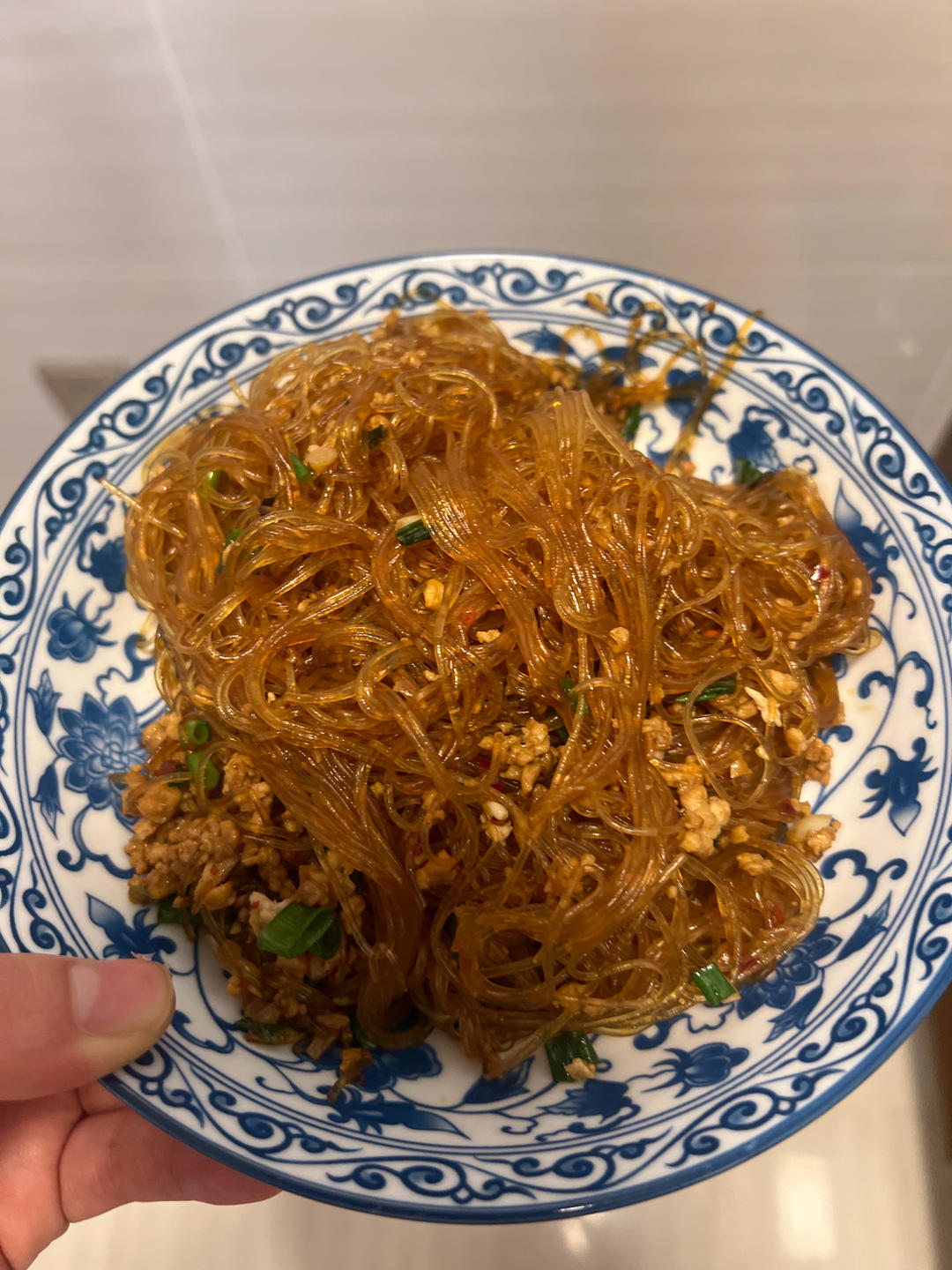 肉末粉丝煲（蚂蚁上树，干捞粉丝煲）