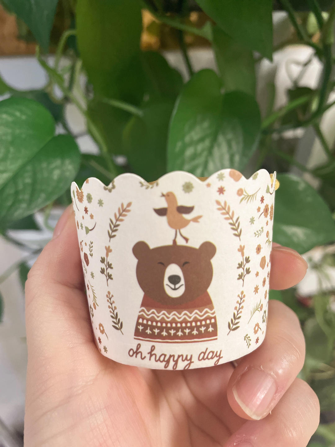 戚风小纸杯蛋糕