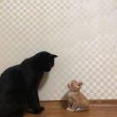 今天要一起吃饭吗