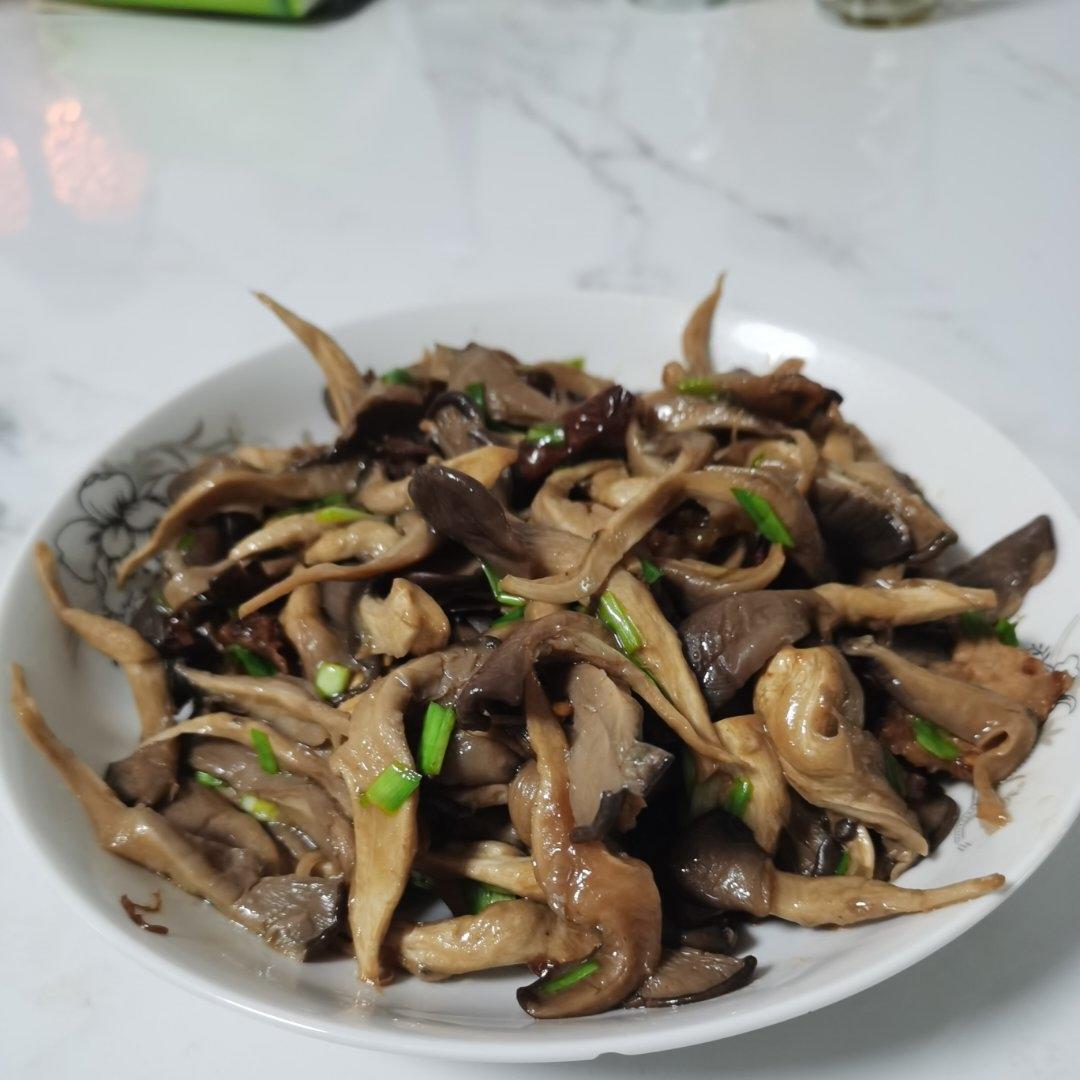 素炒平菇