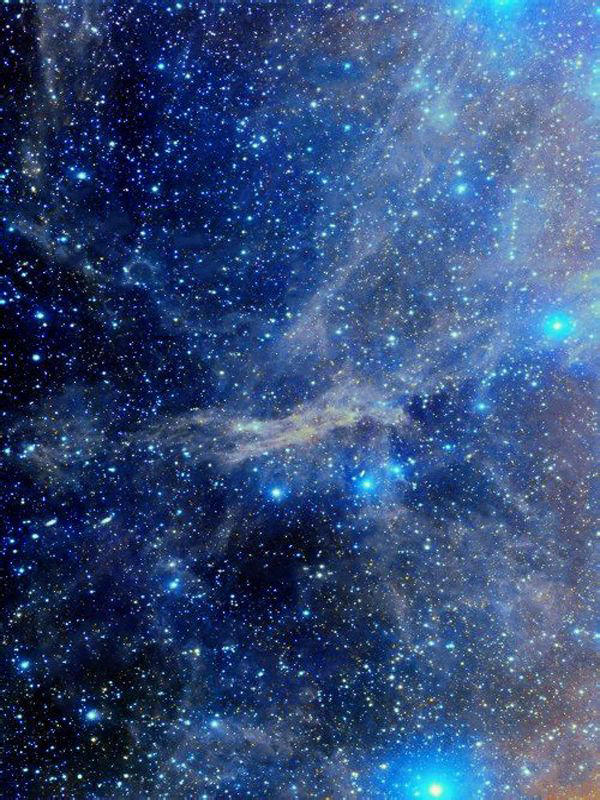 星辰大海yutu