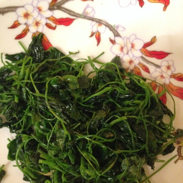 蚝油金花菜