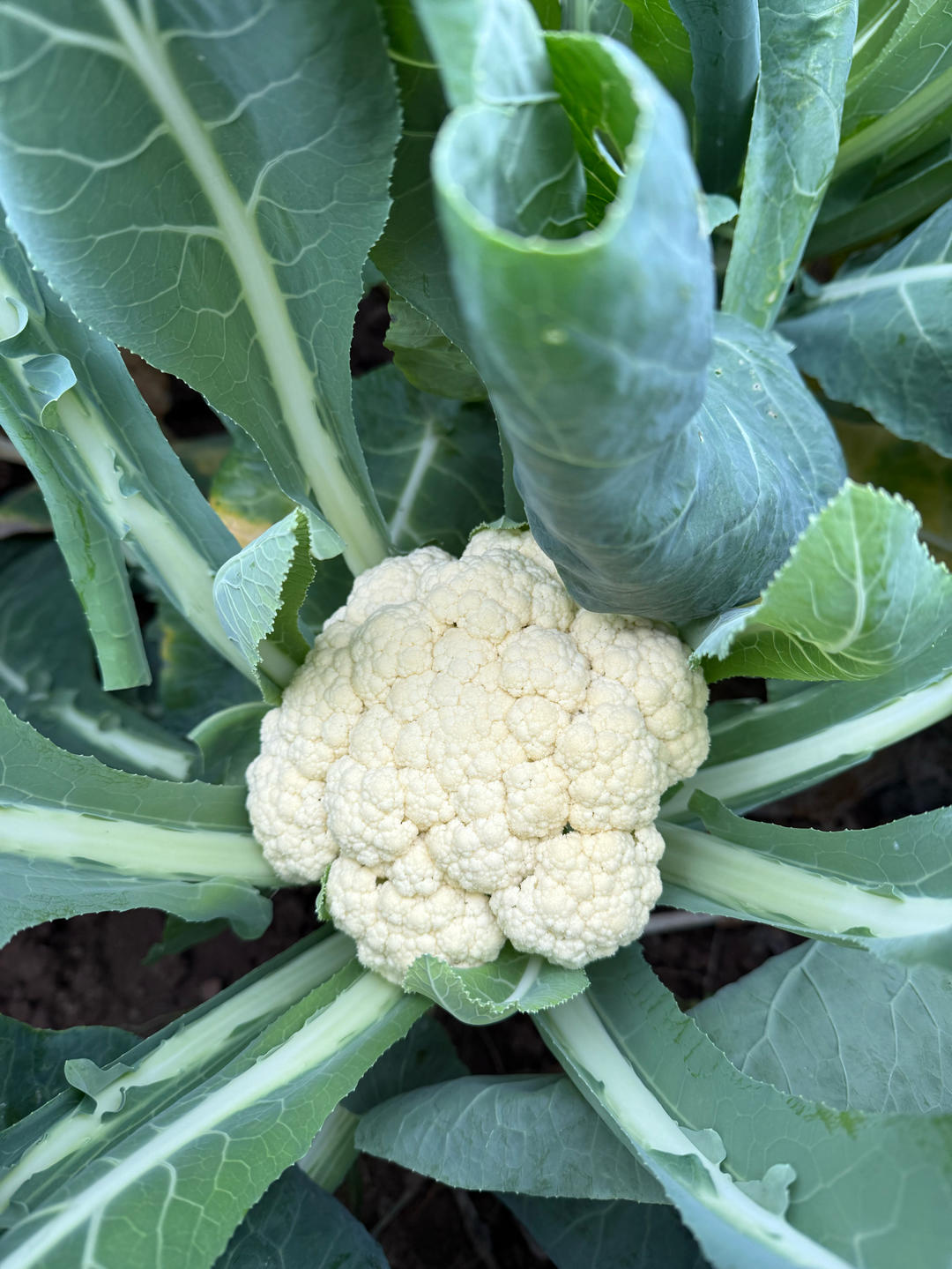 2025重新启航⛵️