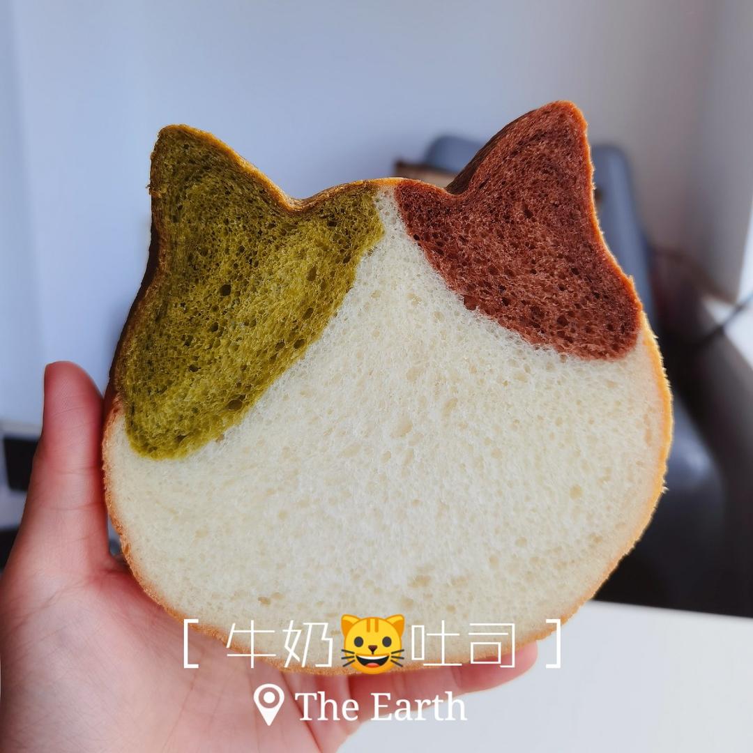 简约牛奶吐司 日本猫吐司模通用450g吐司盒配方