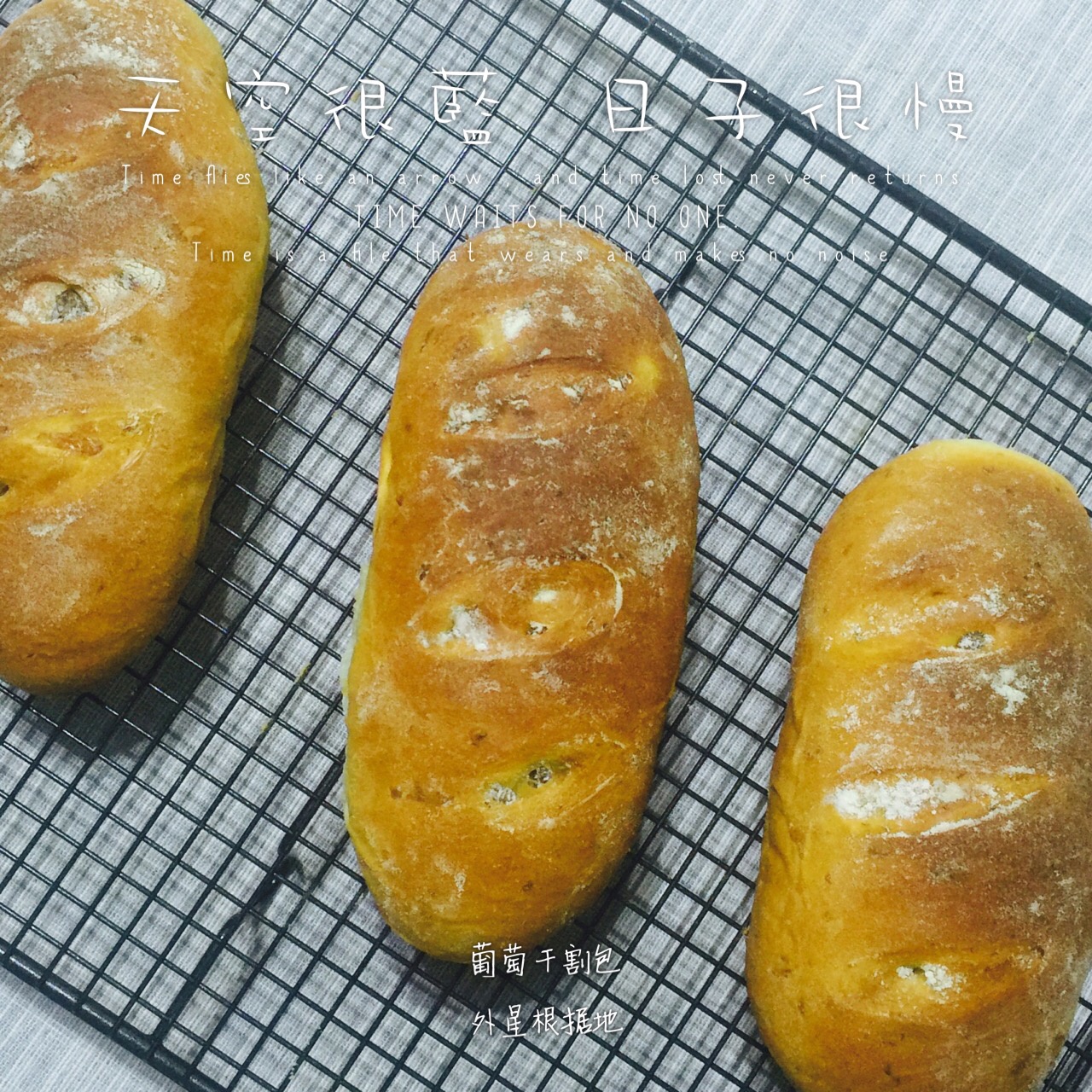 全麦葡萄干面包