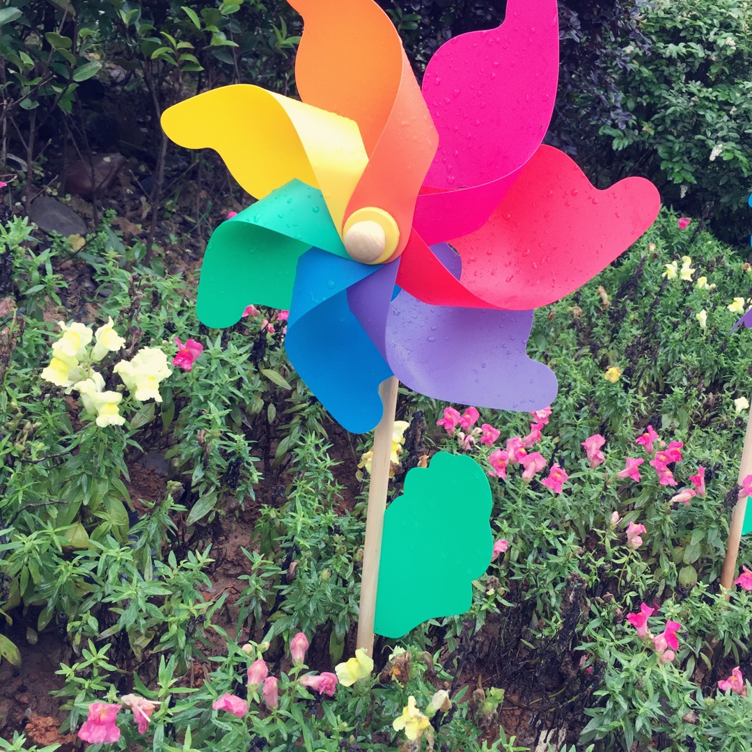 手机用户3516_qrcs