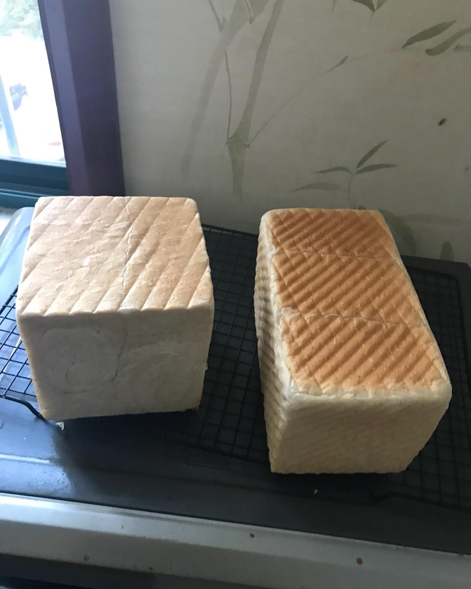 波兰种全麦吐司