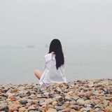 三叶虫虫虫