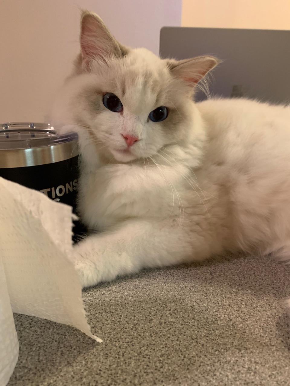 作品动态菜单查看全部分类百香果8.9苦瓜9.7丝瓜9.7银耳9.8豇豆9.