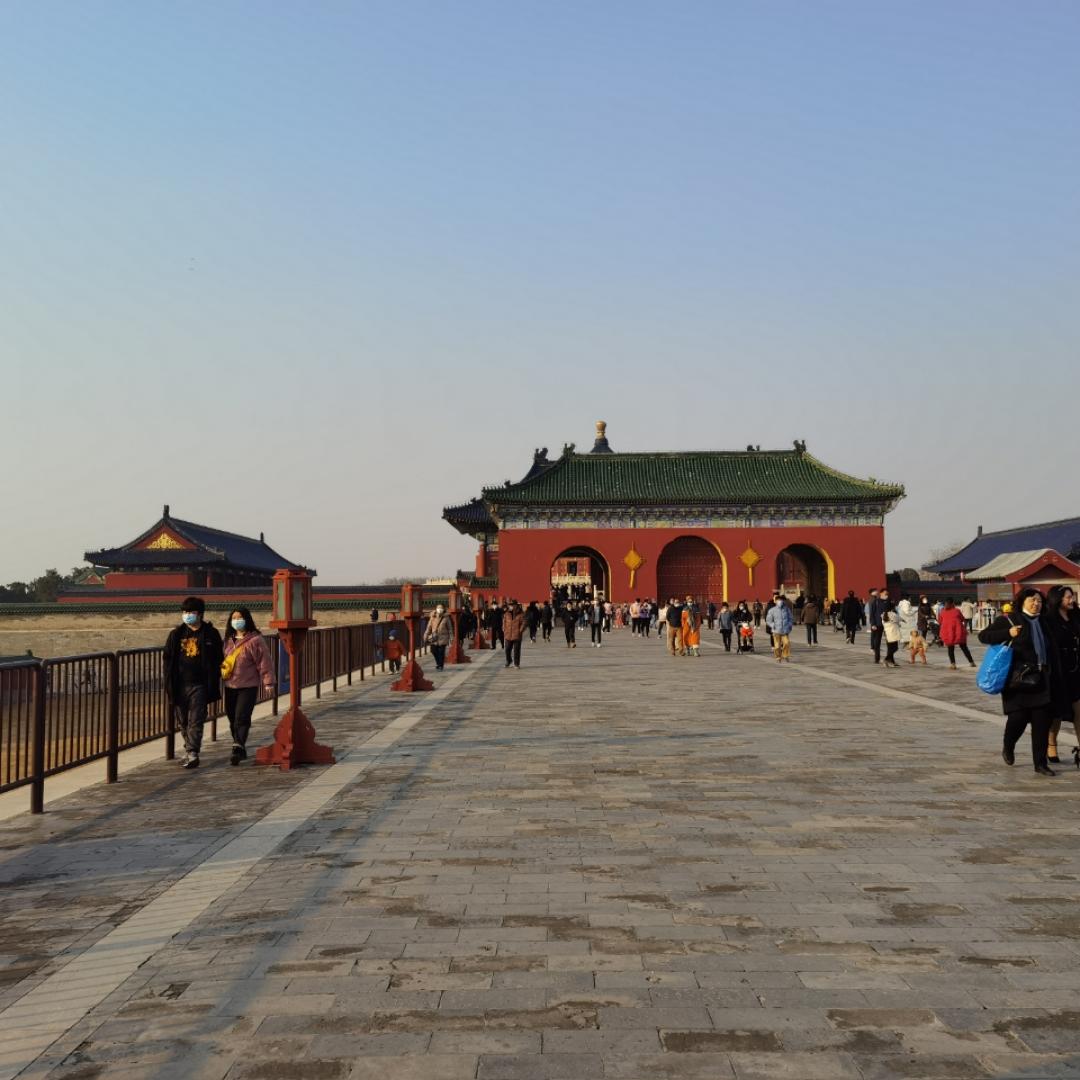 雨竹林天使天使