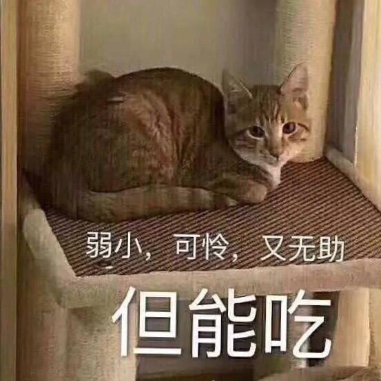 能吃ma