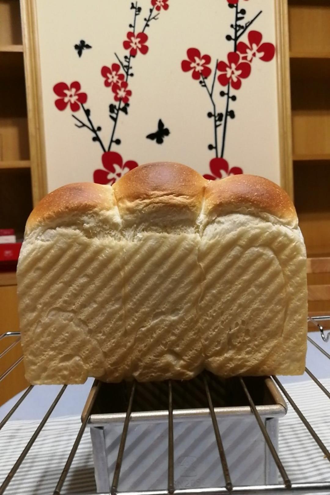 港式吐司～中种
