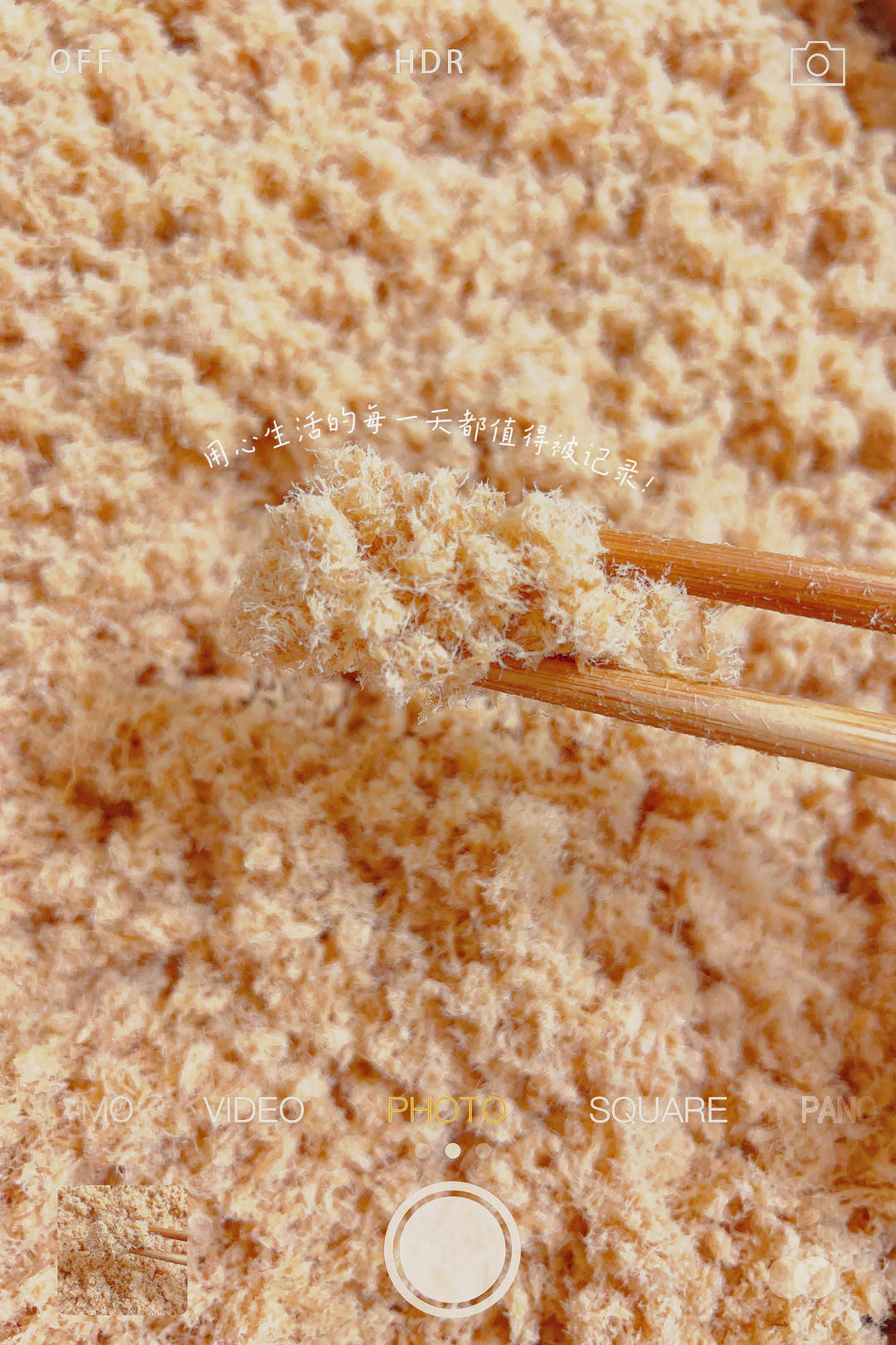 自制肉松（面包机版）