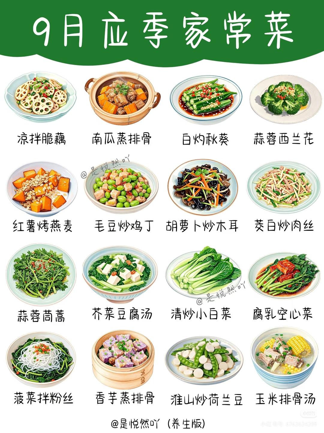 9-11月秋季应季菜