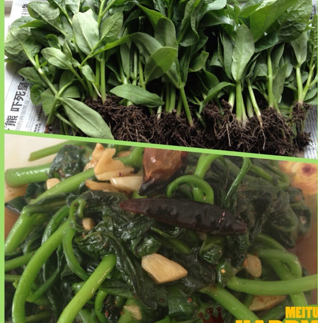 蒜香木耳菜