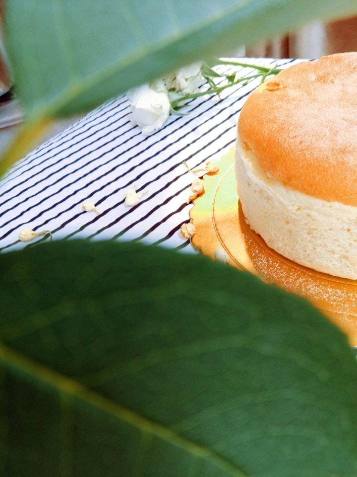 逆流而行 6寸轻乳酪蛋糕 轻芝