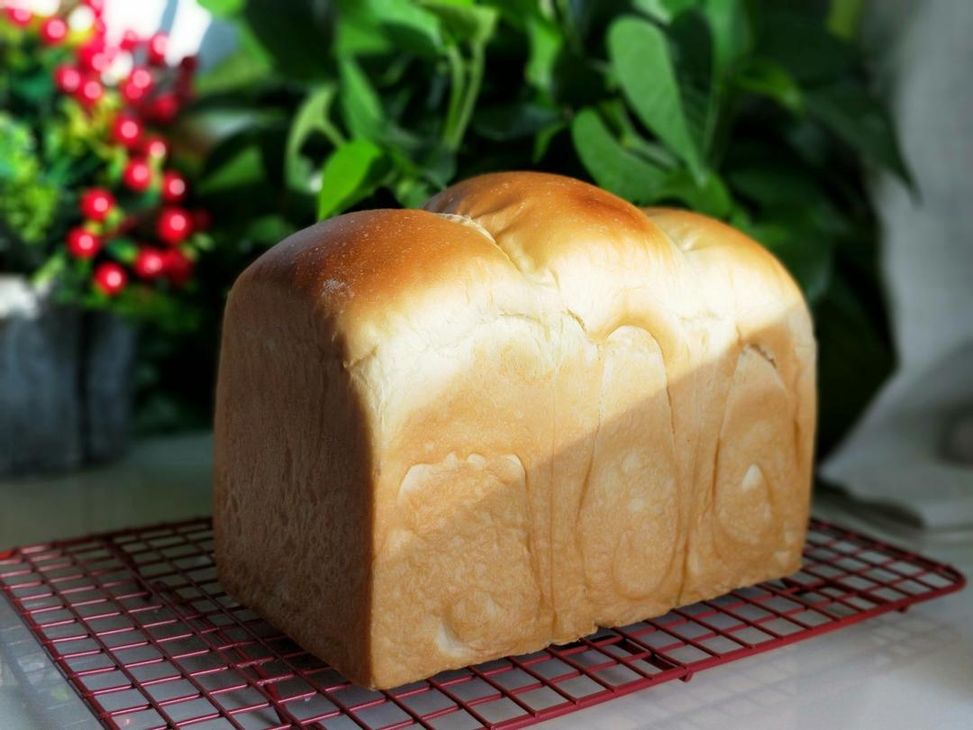 金大旺老师的绵绵绵吐司