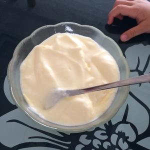 面包机做易极优酸奶的做法 步骤7