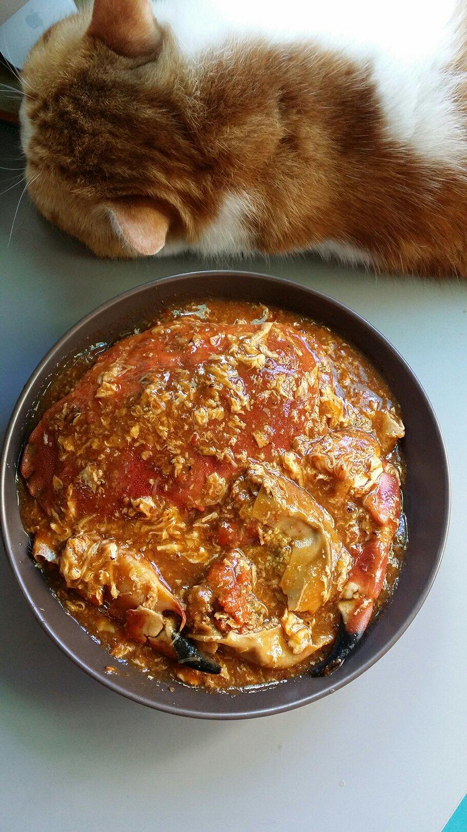 肚皮首先你需要一只面包蟹速成版辣椒蟹的做法primataste百胜厨辣椒蟹