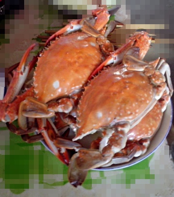 清蒸梭子蟹