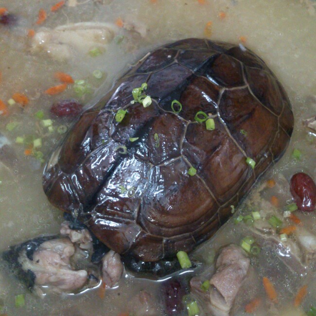 土茯苓乌龟汤