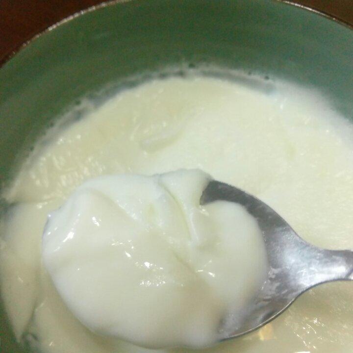 顺德双皮奶