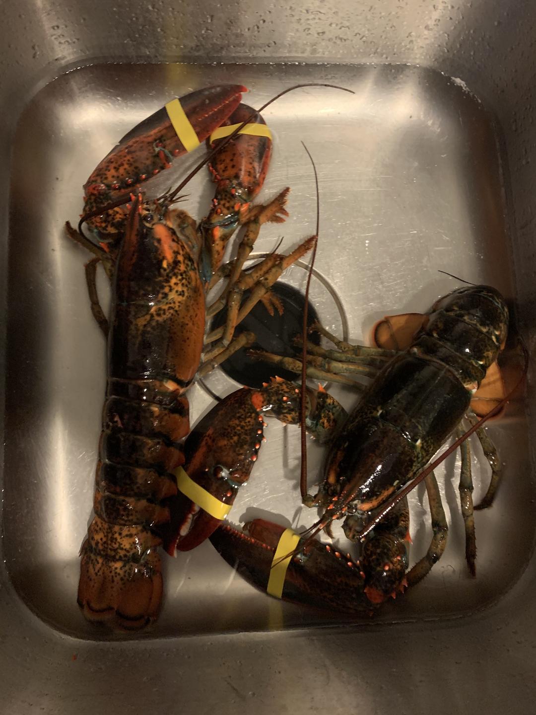 清蒸龙虾🦞的做法 步骤1