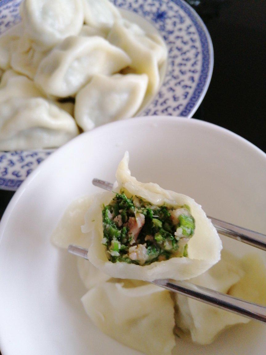 猪肉茴香饺子