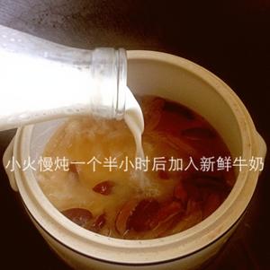 红枣银耳鱼胶炖鲜奶的做法 步骤4