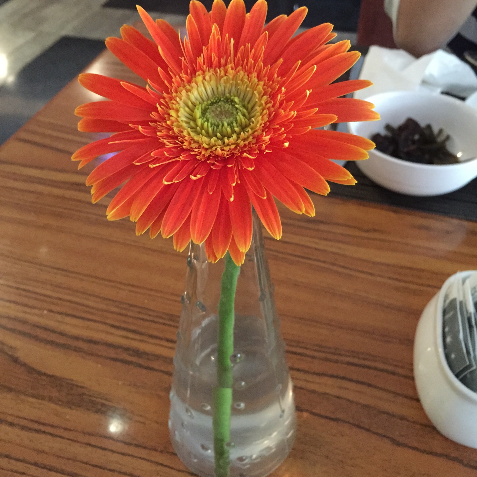 许小燕童鞋