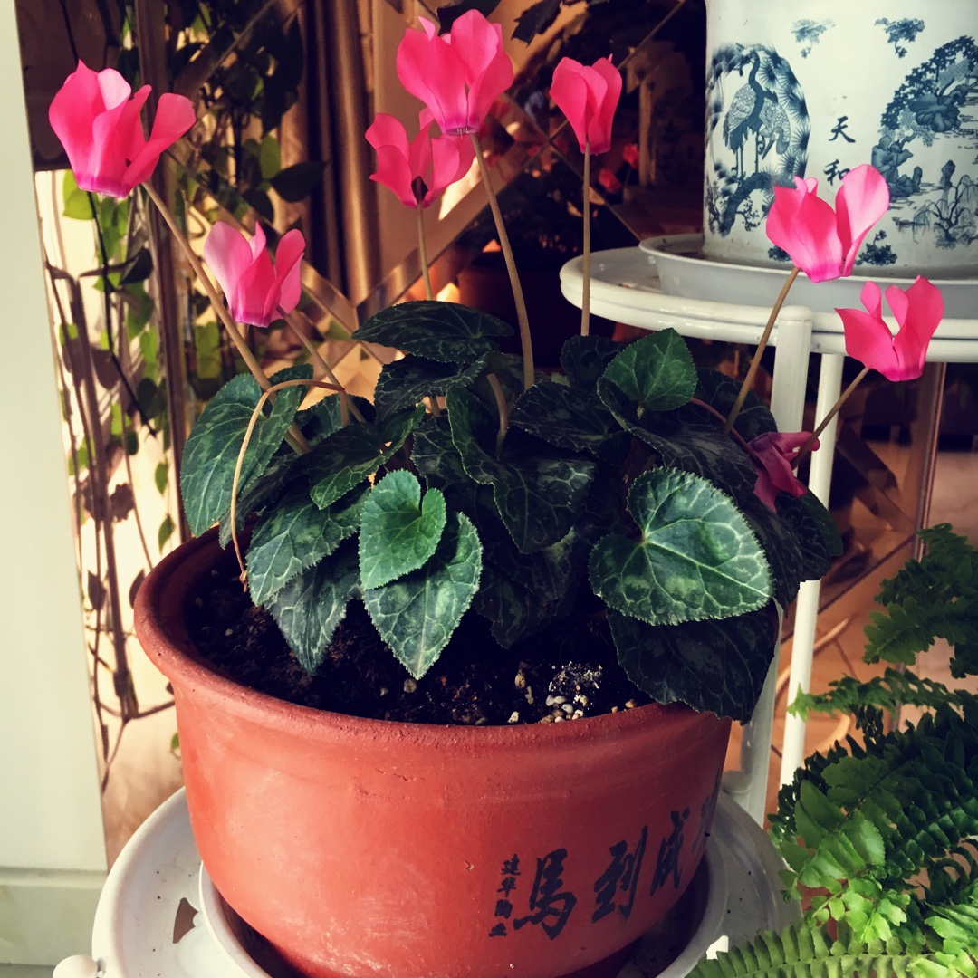 手机用户6732_wt4n