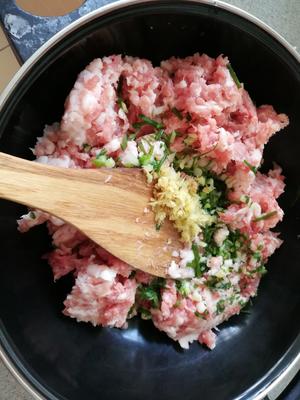 白菜+芫荽猪肉水饺的做法 步骤1