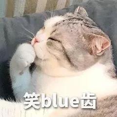 饿到飞起
