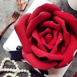 爱整蛋糕的花儿