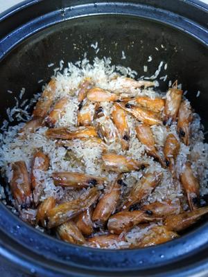 虾头油瑶柱鲜虾砂锅粥的做法 步骤7