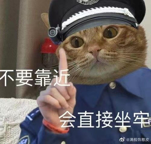 一只鱼跃的厨房