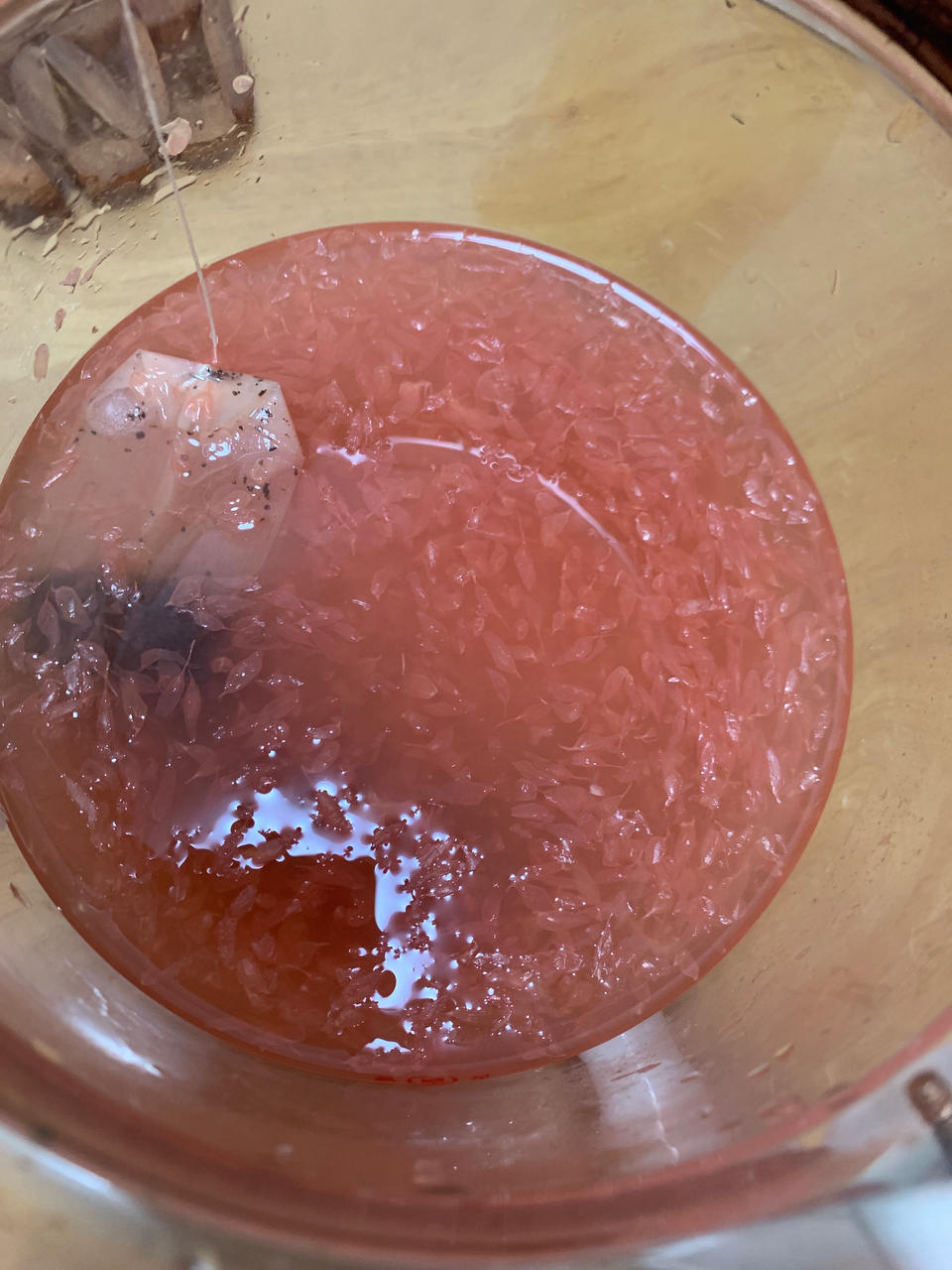 一颗柚子茶/霸王葡萄柚