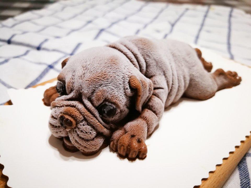 网红慕斯狗（琴姐）